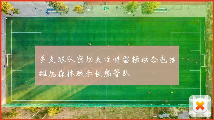 多支球队密切关注特雷杨动态包括雄鹿森林狼和快船等队